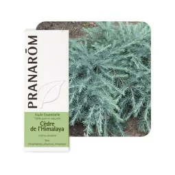 Pranarom H E Cedre Hymalaya...