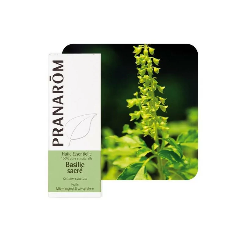 Pranarom Hui Ess Basilic Sacre Fl/5ml