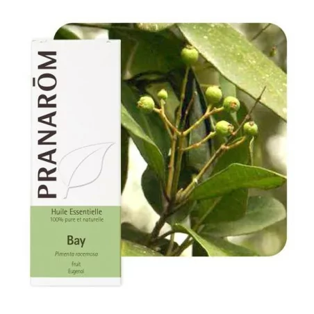 Pranarom Huile Essentiel Bay de saint thomas 10ml