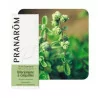 Pranarom Hle Ess Marjolaine Fl/5ml