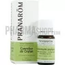 Pranarom Hui Ess Cannelier Ceylan Fl/5ml