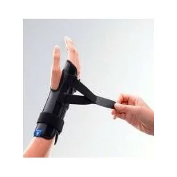 Manuimmo Ort P/m Drte T2