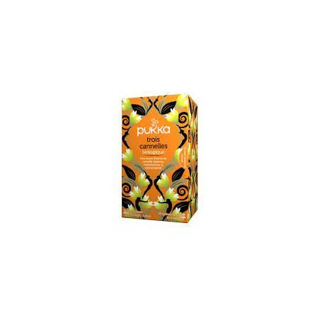 PUKKA INFUSION TROIS CANNELLES BIO