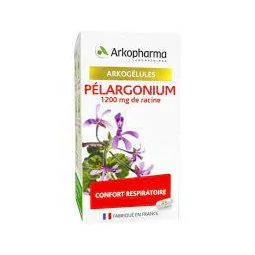 Arkogélule Pélargonium