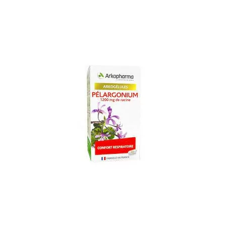 Arkogélule Pélargonium