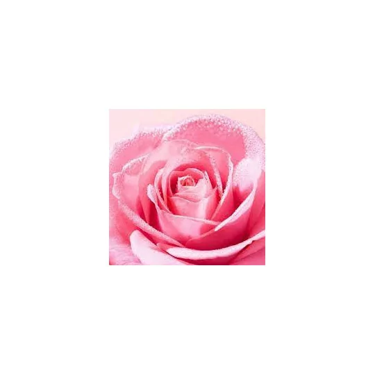 Nuxe Very Rose Brume Tonique 200ml