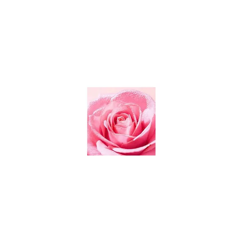 Nuxe Very Rose Brume Tonique 200ml