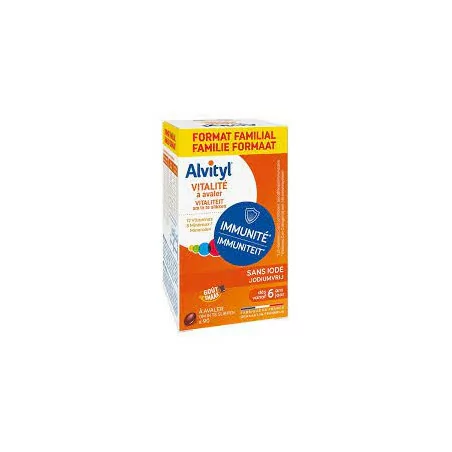 Alvityl Plus Comprimé Boite 90