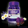 ZZZQUIL SOMMEIL GOMMES BT30