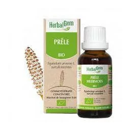 Herbalgem Macérât Prêle Bio 30ml complément naturel articulations peau Parapharmelle
