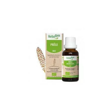 Herbalgem Macerat Prêle Bio Flacon de 30ml