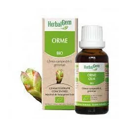 Herbalgem Macérat Orme Bio Flacon de 30ml