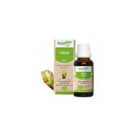 Herbalgem Macérat Orme Bio Flacon de 30ml