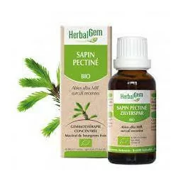 Herbalgem Macérat Sapin Pectiné Bio Flacon de 30ml