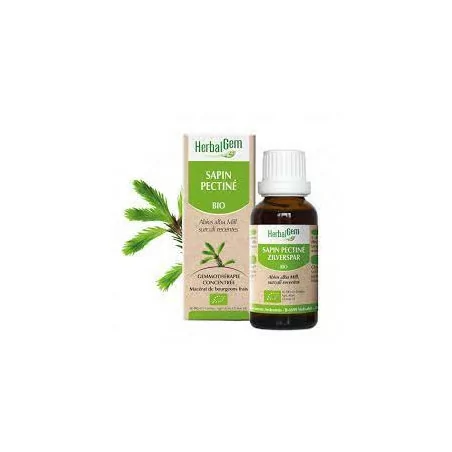Herbalgem Macérat Sapin Pectiné Bio Flacon de 30ml