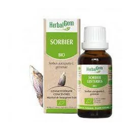 Herbalgem Macérat Sorbier Bio Flacon de 30ml