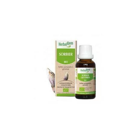 Herbalgem Macérat Sorbier Bio Flacon de 30ml
