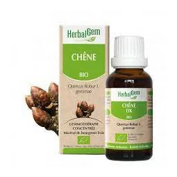 Herbalgem Macérat Chêne Bio Flacon de 30ml