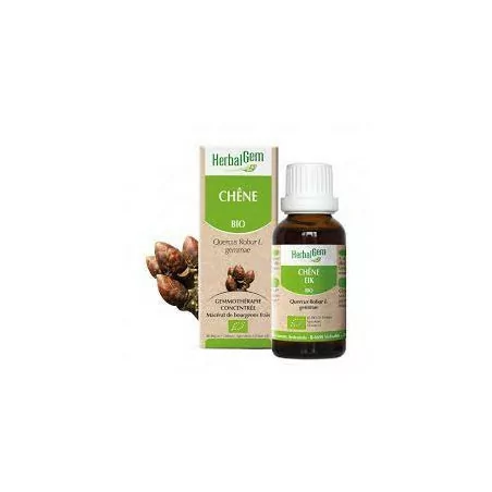 Herbalgem Macérat Chêne Bio Flacon de 30ml
