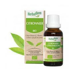 Herbalgem Macérat Citronnier Bio Flacon de 30ml