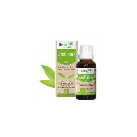 Herbalgem Macérat Citronnier Bio Flacon de 30ml