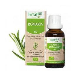 Herbalgem Macérat Romarin Bio Flacon de 30ml