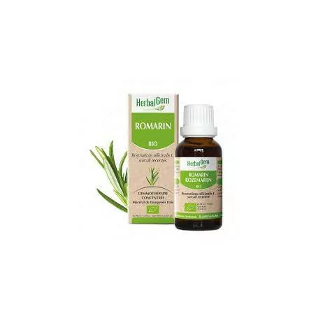 Herbalgem Macérat Romarin Bio Flacon de 30ml