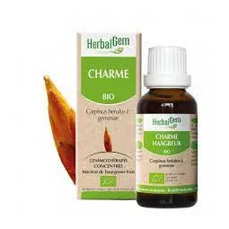 Herbalgem Macérat Charme Bio Flacon de 30ml