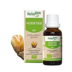 Herbalgem Macérat Noisetier Bio Flacon de 30ml