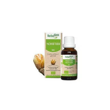 Herbalgem Macérat Noisetier Bio Flacon de 30ml