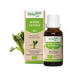 Herbalgem Macérat Rosier Sauvage Bio Flacon de 30ml