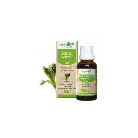 Herbalgem Macérat Rosier Sauvage Bio Flacon de 30ml