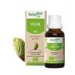 Herbalgem Macérat Vigne Bio Flacon de 30ml