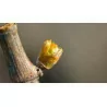 Herbalgem Macérat Vigne Bio Flacon de 30ml