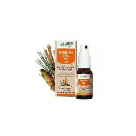 Herbalgem Energem Spray Bio Flacon de 15 Ml