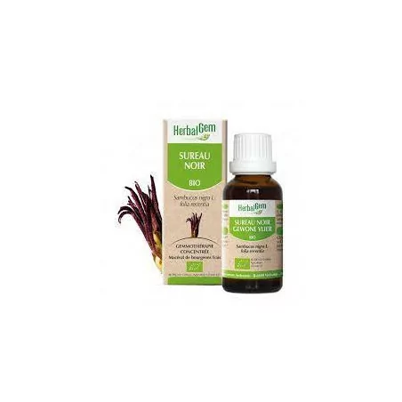 Herbalgem Macérat Sureau Noir Bio Flacon de 30ml