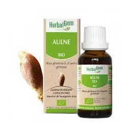 Herbalgem Macérat Aulne Bio Flacon de 30ml