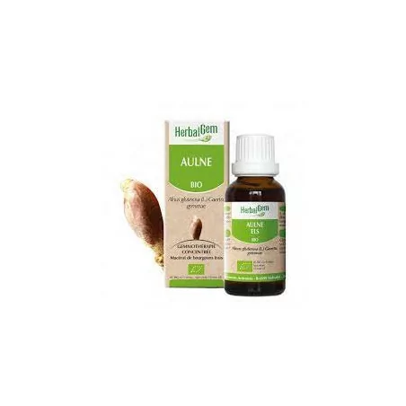 Herbalgem Macérat Aulne Bio Flacon de 30ml