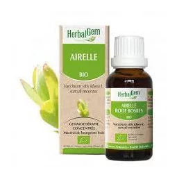 Herbalgem Macérat Airelle Bio Flacon de 30ml