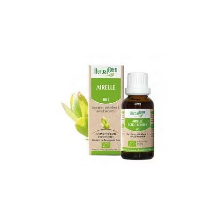 Herbalgem Macérat Airelle Bio Flacon de 30ml