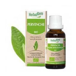 Herbalgem Macérat Pervenche Bio Flacon de 30ml
