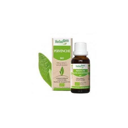 Herbalgem Macérat Pervenche Bio Flacon de 30ml