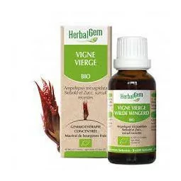 Herbalgem Macérat Vigne Vierge Bio Flacon de 30ml