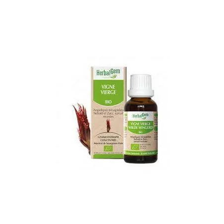 Herbalgem Macérat Vigne Vierge Bio Flacon de 30ml