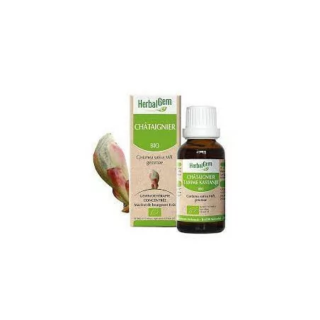 Herbalgem Macérat Châtaignier Bio Flacon de 30ml