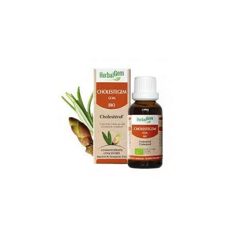 Herbalgem Complexe Cholestegem Bio Flacon de 30ml