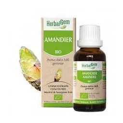 Herbalgem Macérat Amandier Bio Flacon de 30ml