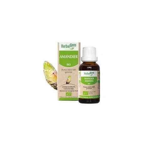 Herbalgem Macérat Amandier Bio Flacon de 30ml