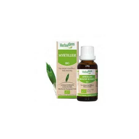 Herbalgem Macérat Myrtillier Bio Flacon de 30ml