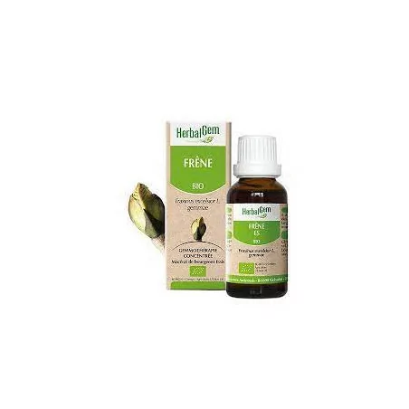 Herbalgem Macérat Frêne Bio Flacon de 30ml